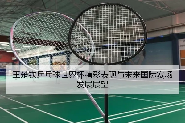 王楚钦乒乓球世界杯精彩表现与未来国际赛场发展展望